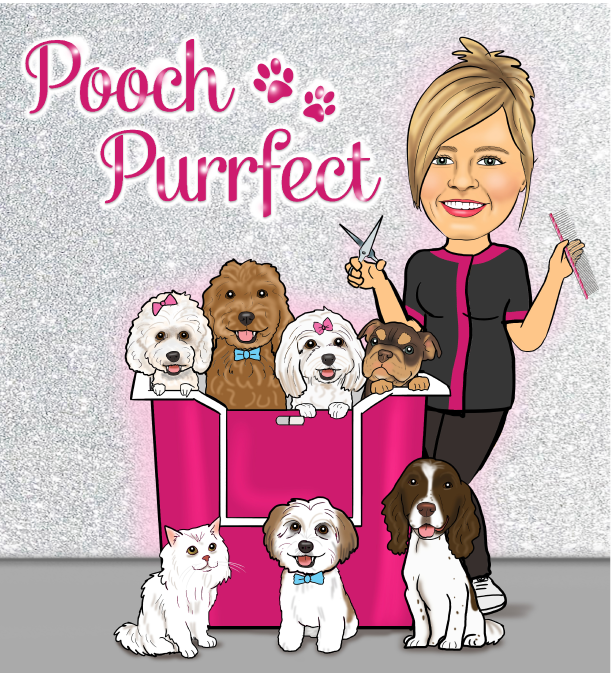 Pooch Purrfect Dog Grooming Pooch Purrfect Dog Grooming