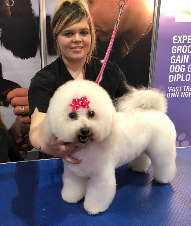 Screen-Shot-2019-03-11-at-12.45.41 Dog Grooming Walsall Brownhills